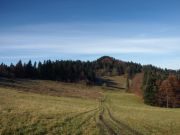 Macelak , Pieniny